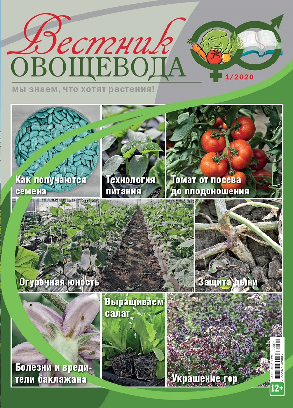 cover (4)